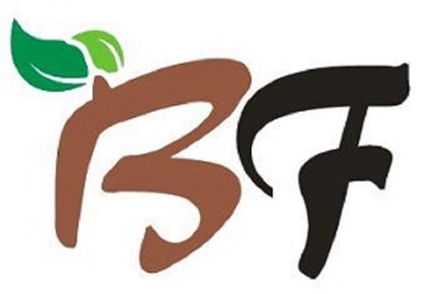  上海柏泛木业有限公司