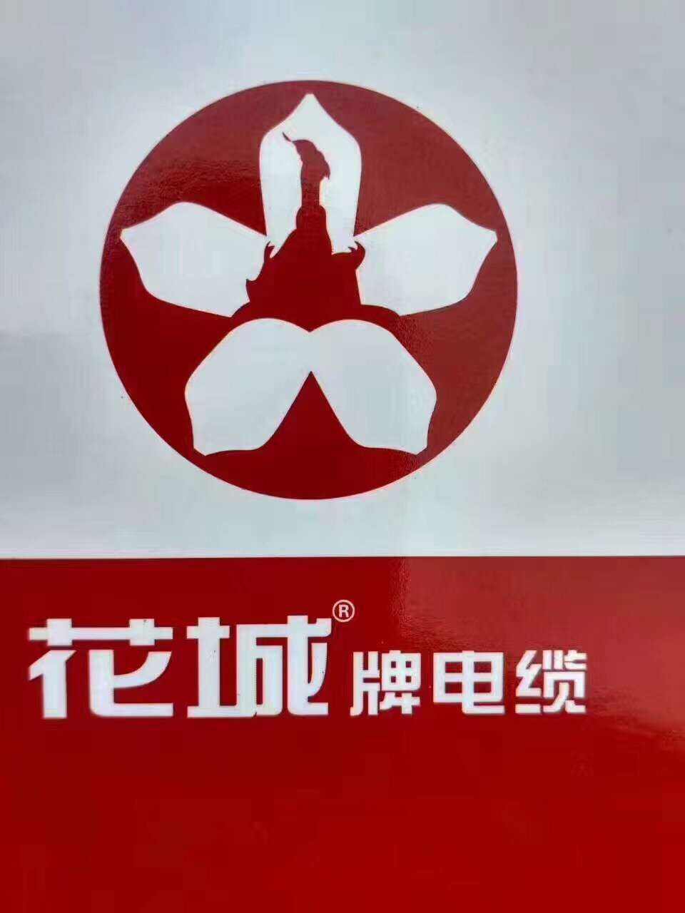  广州珠江电缆有限公司