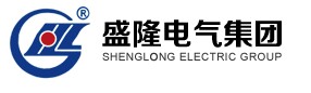  盛隆电气集团武汉有限公司