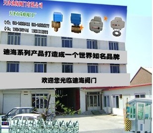  天津迪海阀门有限公司