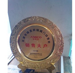 天津市埃美柯铜阀门销售处
