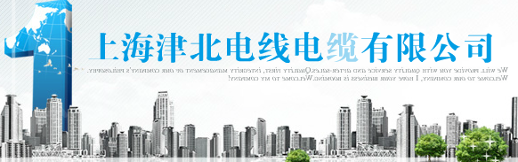  上海津北电线电缆有限公司