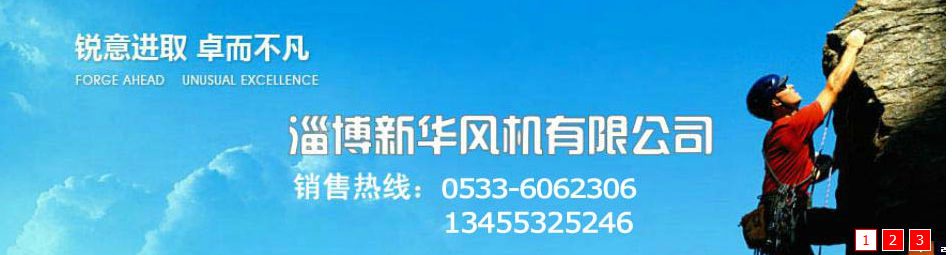  淄博新华风机有限公司