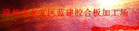  漳州市龙文区蓝建胶合板加工场