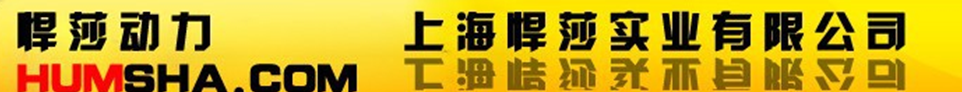  上海悍莎实业有限公司