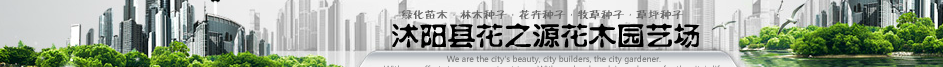  苏州巨一电子材料有限公司