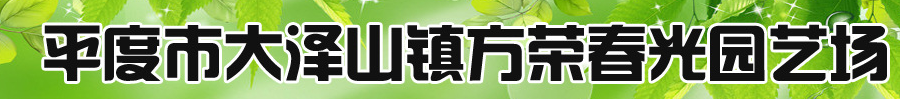  平度市大泽山镇方荣春光园艺场