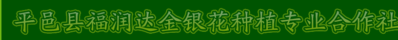  平邑县福润达金银花种植专业合作社