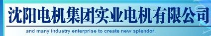  沈阳电机集团实业电机有限公司