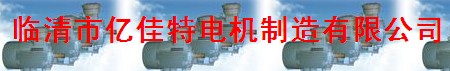  临清市亿佳特电机制造有限公司