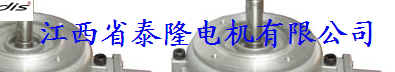  江西省泰隆电机有限公司