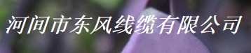  河间市东风线缆有限公司