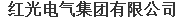  红光电气集团有限公司