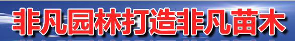  开原市非凡苗圃