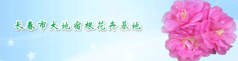  长春市思彤苗木花卉基地