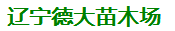  哈尔滨德大苗木种植有限公司