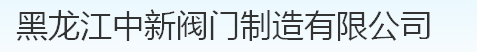  黑龙江中新阀门制造有限公司