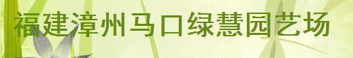  漳浦县马口绿慧园艺场