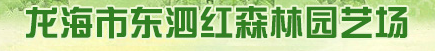  龙海市东泗红森林园艺场