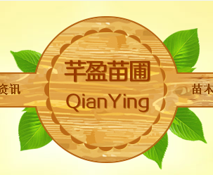  开原市芊盈苗圃