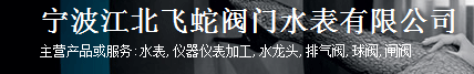  宁波江北飞蛇阀门水表有限公司