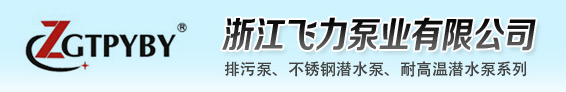  飞力泵业有限公司
