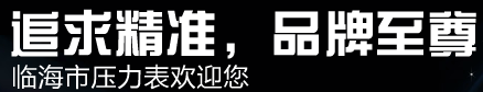  临海市压力表厂(有限公司)