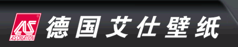  上海艾仕国际贸易有限公司