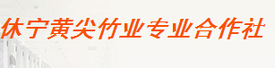  休宁黄尖竹业专业合作社