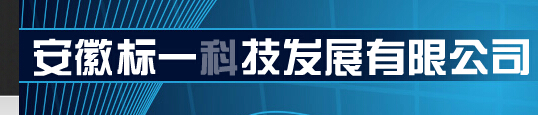  安徽标一科技发展有限公司