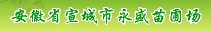  安徽省宣城市永盛苗圃场