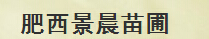  肥西景晨苗圃