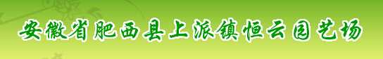  肥西县上派镇恒云园艺场