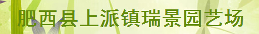  肥西县上派镇瑞景园艺场