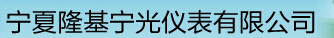  宁夏隆基宁光仪表股份有限公司