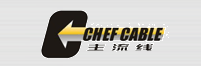  上海成丰线缆有限公司