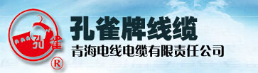  青海电线电缆有限责任公司