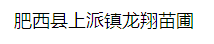  肥西县上派镇龙翔苗圃