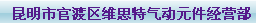 昆明市官渡区维思特气动元件经营部