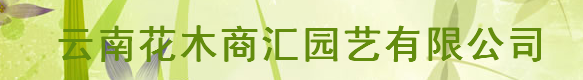  云南花木商汇园艺有限公司