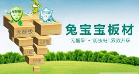  德华兔宝宝装饰新材股份有限公司（四川销售）