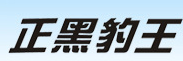  深圳市正黑豹建材有限公司
