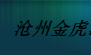  沧州金虎管业有限公司