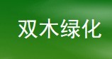  漳州诚林绿化苗木有限公司