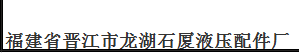  福建省晋江市龙湖石厦液压配件厂