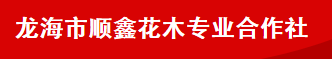  龙海市顺鑫花木专业合作社