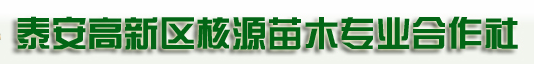  泰安高新区核源苗木专业合作社