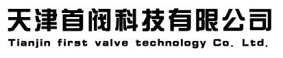  天津首阀科技有限公司