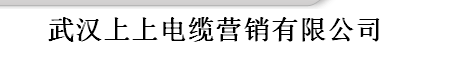  武汉上上电缆营销有限公司