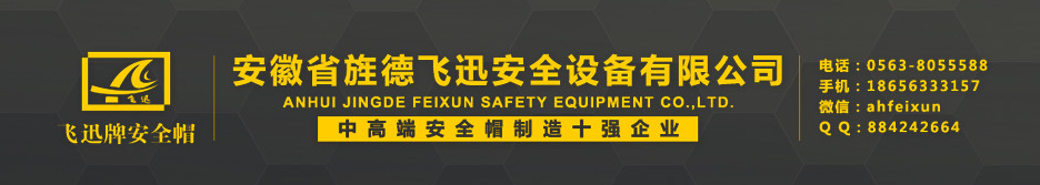  安徽省旌德飞迅安全设备有限公司